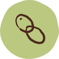 A Connection to the Harvest