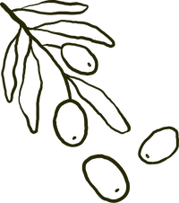 Follow Your Tree’s Journey