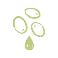 Pressed Within 24 Hours